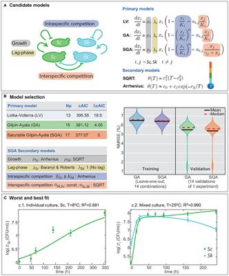 Temperature Shapes Ecological Dynamics in Mixed Culture Fermentations Driven by Two Species of the Saccharomyces Genus